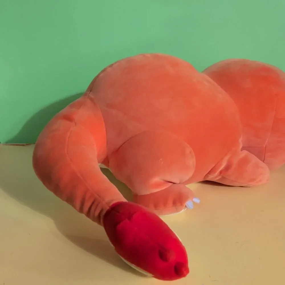 Pokémon Sleeping Charmander 18